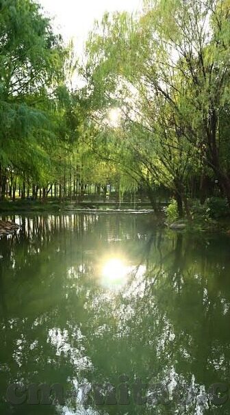av在线麻豆-「AV在线麻豆」，互联网浪潮中无形而生的数字暗流
