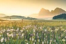 成人超碰免费视频-成人超碰免费视频，网络时代的灰色地带与道德边界