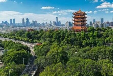 大象传媒app下载安装-探索大象传媒APP，解锁娱乐新视界