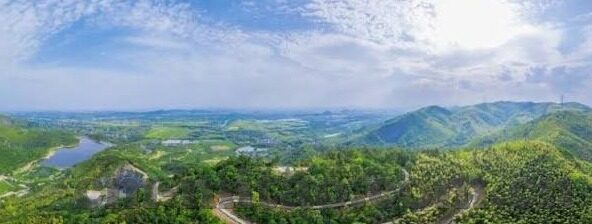 大象传媒官方网站进入-探索大象传媒官方网站，创意与信息的新门户