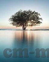 大象传媒免费版下载-免费畅享大象传媒，探索数字娱乐新境界