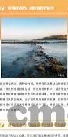 欧美伦理毛片在线看-欧美伦理电影的观赏与思考，界限与反思