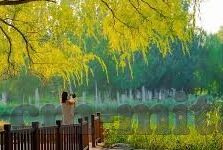 日韩av天堂-探索成人娱乐的多元世界，日韩AV天堂的独特魅力