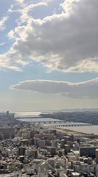 糖心app会员是真的吗-深入探讨，糖心APP会员服务的真实存在性