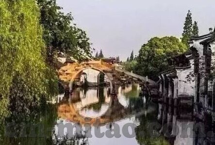 兄嫁动漫在线观看中文字幕-兄嫁动漫，中文字幕下的情感共鸣与文化探索
